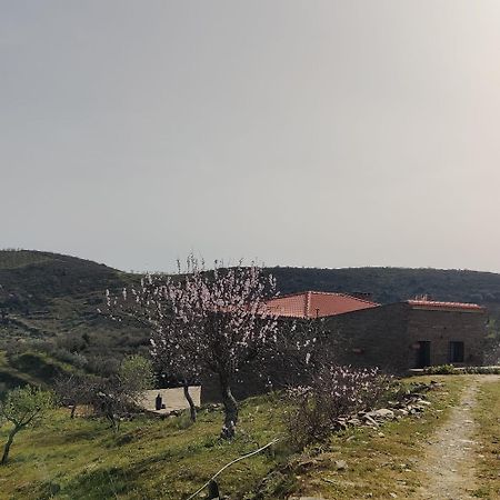 Eira Da Fraga Villa Vila Nova de Foz Coa Kültér fotó